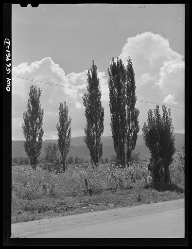 Miscellaneous lot of photographs by Barbara Wright. New Mexico