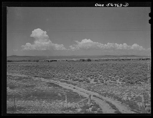 Miscellaneous lot of photographs by Barbara Wright. New Mexico