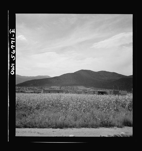 Miscellaneous lot of photographs by Barbara Wright. New Mexico