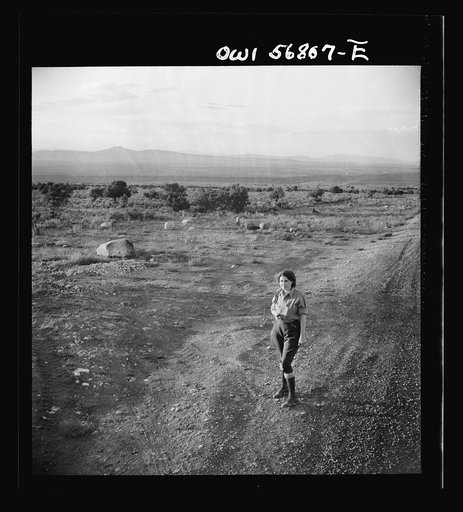 Miscellaneous lot of photographs by Barbara Wright. New Mexico