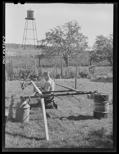 Untitled photo, possibly related to: Miscellaneous lot of photographs by Barbara Wright, e.g. University of Virginia, Franconia, New Hampshire, Maine. Walter Richmond, Yankee farmer at Washburn homestead, Livermore, Maine