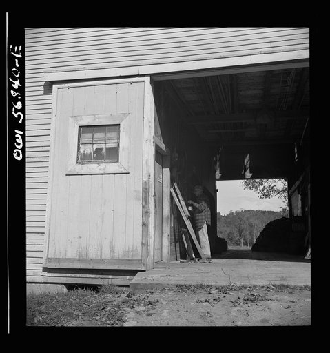 Untitled photo, possibly related to: Miscellaneous lot of photographs by Barbara Wright, e.g. University of Virginia, Franconia, New Hampshire, Maine.