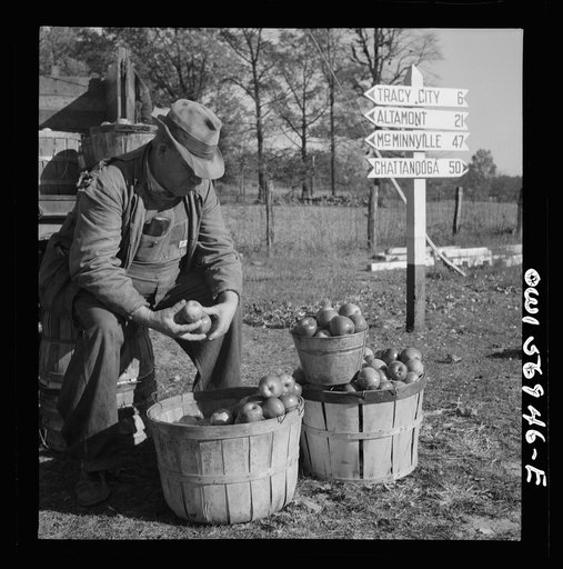 Miscellaneous lot of photographs by Barbara Wright. Tennessee, e.g. TVA, Knoxville