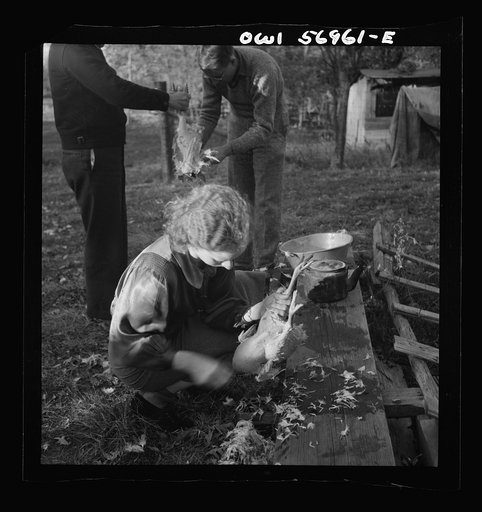 Miscellaneous lot of photographs by Barbara Wright. Tennessee, e.g. TVA, Knoxville
