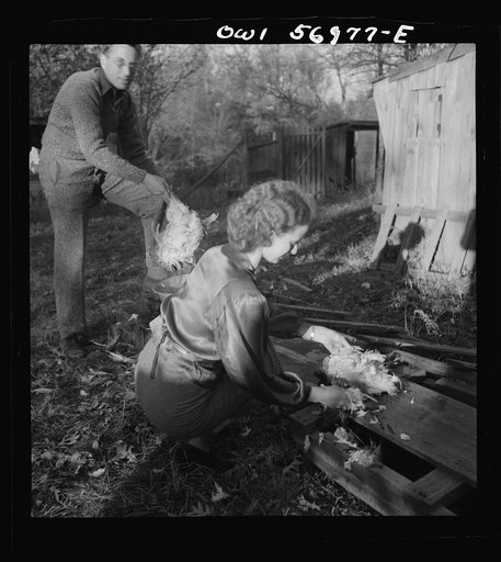 Miscellaneous lot of photographs by Barbara Wright. Tennessee, e.g. TVA, Knoxville