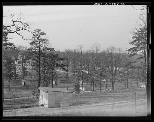Miscellaneous lot of photographs by Barbara Wright. National Youth Administration (NYA), Works Progress Administration (WPA) and Civilian Conservation Corps (CCC)