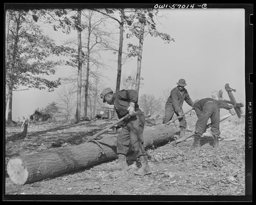 Miscellaneous lot of photographs by Barbara Wright. National Youth Administration (NYA), Works Progress Administration (WPA) and Civilian Conservation Corps (CCC)
