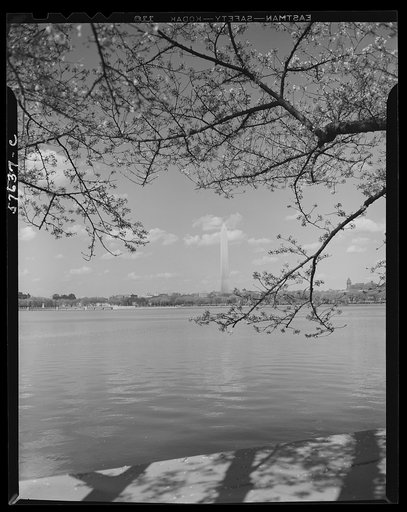 Washington, D.C. Washington Monument