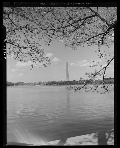 Untitled photo, possibly related to: Washington, D.C. Washington Monument