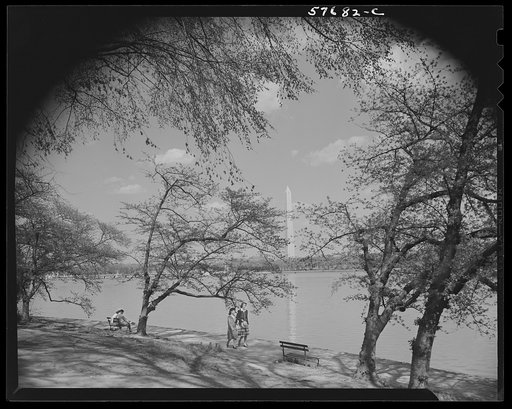 Untitled photo, possibly related to: Washington, D.C. Washington Monument