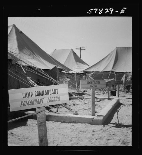 El Shatt, the United Nations Relief and Rehabilitation Administration's refugee camp for Yugoslavs