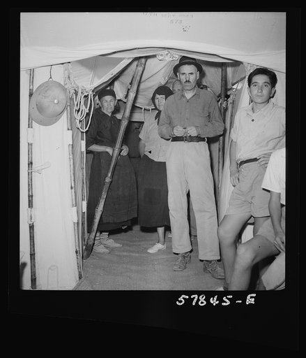 El Shatt, the United Nations Relief and Rehabilitation Administration's refugee camp for Yugoslavs