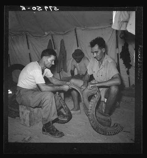 El Shatt, the United Nations Relief and Rehabilitation Administration's refugee camp for Yugoslavs