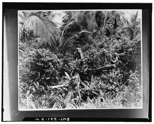 Men on jungle patrol in the Caribbean area take fullest advantage of natural foliage for camouflage purposes. It takes a quick eye to see these men stealing through the jungles
