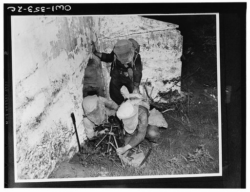 Gun crew setting up a small trench mortar in a concealed position. The soldiers wear netting over their helmets to protect their faces from the insects which abound in these tropical areas of the British West Indies