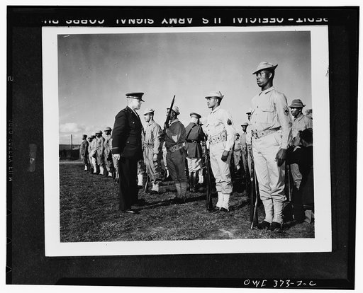 Brigadier General Benjamin Davis conducting close rifle inspection of United States colored troops somewhere in England