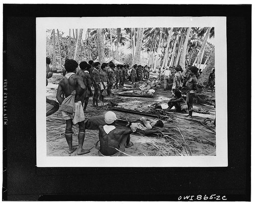 Buna (vicinity), New Guinea. Native stretcher bearers in New Guinea carrying American wounded from the front lines pause to rest themselves and the soldiers in the shade of a coconut grove, enroute to hospitals in the rear