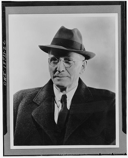 Harcourt A. Morgan, TVA (Tennessee Valley Authority) director