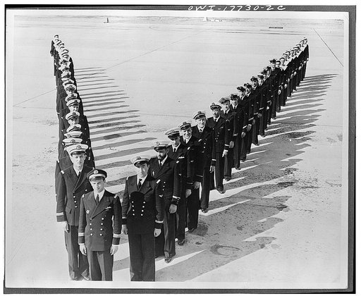 Jacksonville, Florida. Fightng French in V formation at the United States Naval air station