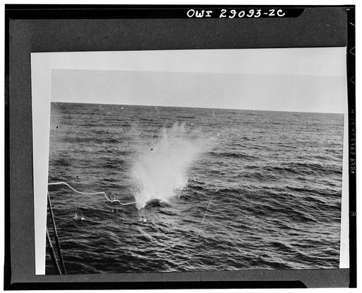 Bomb explodes on humpback. Explosion of bomb on head of harpoon marks the end of the trail for another humpbacker. The manila line may be seen, but the force of the explosion has hidden the whale