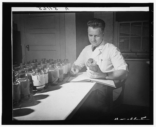 Laboratory worker keeping records connected with the processing of blood plasma