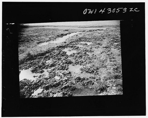 Public Health Service Investigation Commission to the China-Burma highway, Chefang (vicinity), China. The edge of the Old Fort seepage area