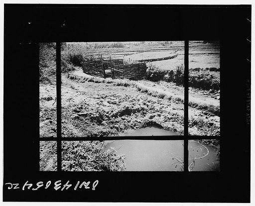 Public Health Service Investigation Commission to the China-Burma highway, Chefang (vicinity), China. Gambusia minnow hatchery in a spring at the edge of the rice fields. When the gambusia were put here, herons and other birds start to eat them. Thus the spring had to be covered with loosely woven m