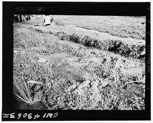 Public Health Service Investigation Commission to the China-Burma highway, Chefang (vicinity), China. Quiet water full of hoof prints containing back-water from a stream. There are no anopheles minimus