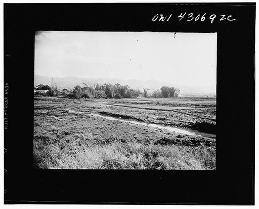 Public Health Service Investigation Commission to the China-Burma highway, Chefang (vicinity), China. The main drainage ditch for the irrigated rice fields. A small village lies behind the bamboo trees in the background