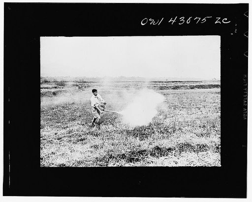 Public Health Service Investigation Commission to the China-Burma highway, Chefang (vicinity), China.  Paris green dusting