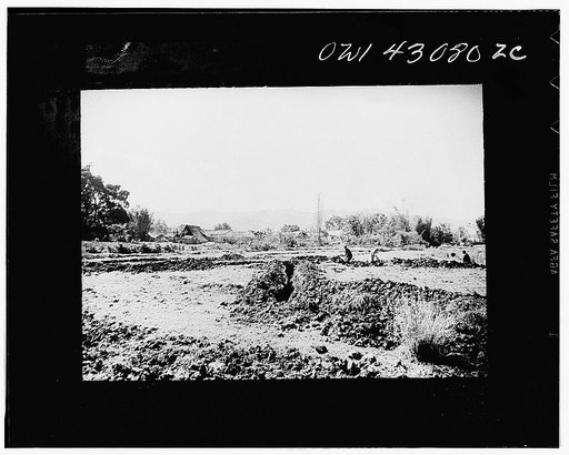 Public Health Service Investigation Commission to the China-Burma highway, Chefang Valley, China. Long view showing several connecting ditches