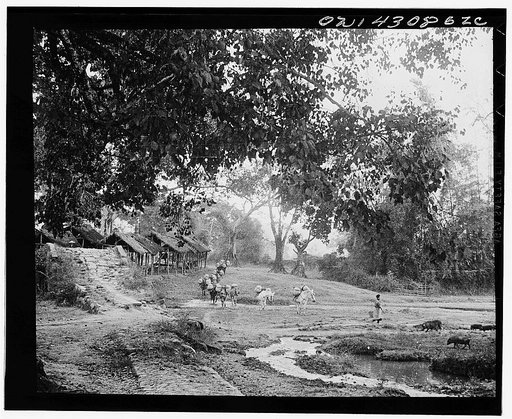 Public Health Service Investigation Commission to the China-Burma highway. The old Burma road passing through a village. The bridge is used only when the water is high