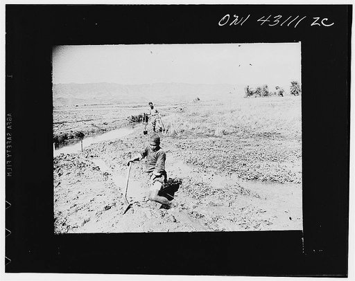 Public Health Service Investigation Commission to the China-Burma Highway, Chefang Valley, China. Knee deep in mud. Ditches across the seepage area carry water direct to main drainage ditch