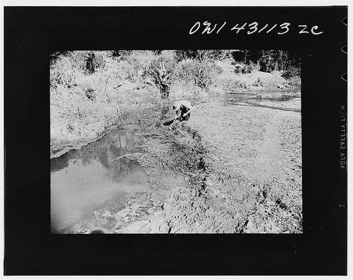 Public Health Service Investigation Commission to the China-Burma Highway, Chefang Valley, China. Taking sample of water to test from a typical breeding place for anopheles minimus