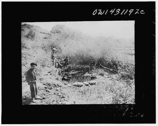 Public Health Service Investigation Commission to the China-Burma Highway, Chefang, China. A natural spring at the edge of the city, supplying water to the area which was used as a gambusia minnow hatchery