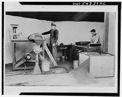 Screening, segmenting, and fanning sugar beets with machinery developed by Professor Roy E. Bainer, of the University of California