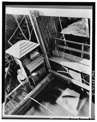 Bonneville Dam, Oregon and Washington. Ruby Warren, employee of the United States Army corps of engineers, looking down the bridge over Bonneville fishway into the counting station. She is one of four women employed as a fish recorder by the engineers