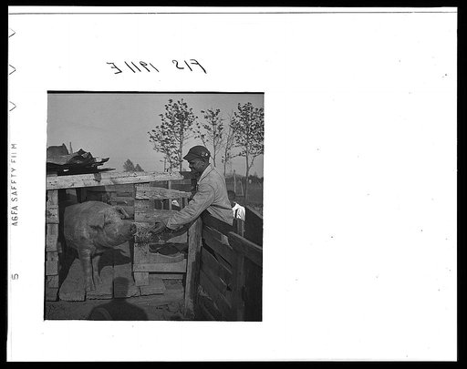 Newport News, Virginia. Negro shipyard worker at his rural home
