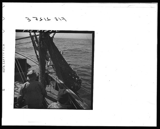 Provincetown, Massachusetts. Aboard the Frances and Marion, a Portuguese drag trawler, fishing off Cape Cod. The trawl coming aboard