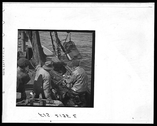 Provincetown, Massachusetts. Aboard the Frances and Marion a Portuguese drag trawler, fishing off Cape Cod. The trawl coming aboard