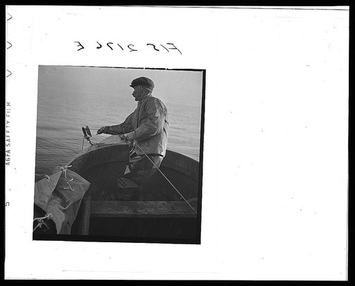 Hauling in the trawl aboard a Portuguese dory boat off Cape Cod, Massachusetts