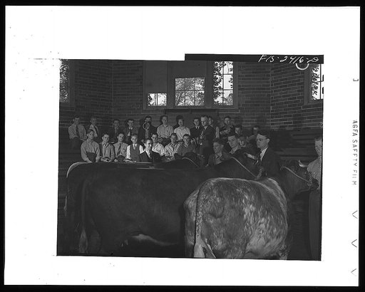 Professor A.F. LaGrange with his sophmore class in animal husbandry. They are examining some purebreed shorthorns in their study of breeds of cattle. Out of his class of thirty-two, only six do not live on farms. About half the class came from outside the state of Iowa. Some of the states represente