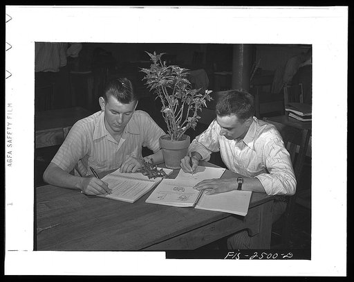 Bob J. Sanders, left, from Burlington, Iowa and Vernon Schulke, from a farm in Aurelia, Iowa in a freshman horticulture class. Both are majoring in Agriculture Education. Iowa State College. Ames, Iowa