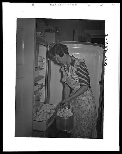 Lauderdale County, Alabama. Tennessee Valley Authority (TVA). An electric refrigerator helps Mrs. Case keep eggs fresh