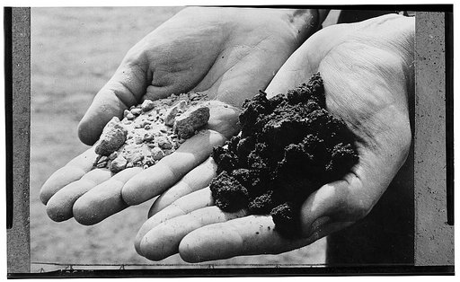 America's petroleum industries pour out fuel and lubricants for the United Nations. A geology expert of one of the large oil companies U.S. displays two varieties of sand from an oil drilling district. The hand on the left holds dry, oil-less sand, while the one on the right holds sand rich and dark
