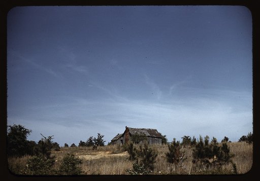 Cabin in southern U.S.
