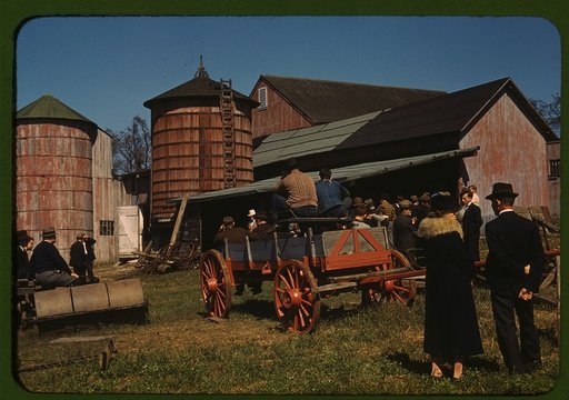 Farm auction, Derby, Conn.