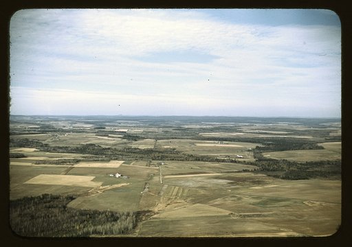 Potato farms in Aroostook County, Me.