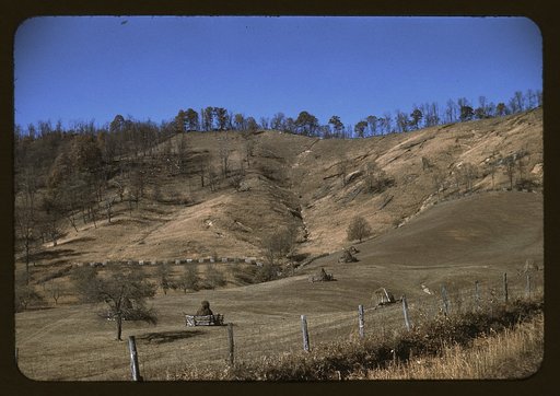 Field along the Skyline Drive in Virginia