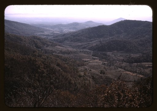View along the Skyline Drive, Va.